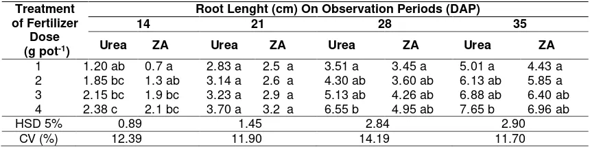 Table 4 Interactions of Fertilizer Types and Doses on Root Lenght at Various Observation Periods 