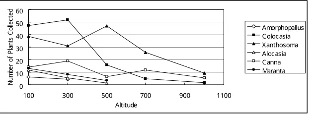 Figure 2. The Number of collected plants of Aroid plants in Slope of Wonogiri and Pacitan dryland