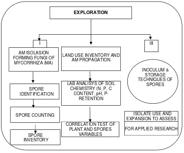 Figure  2.  Scematic Steps of Spores Exploration and Inventory