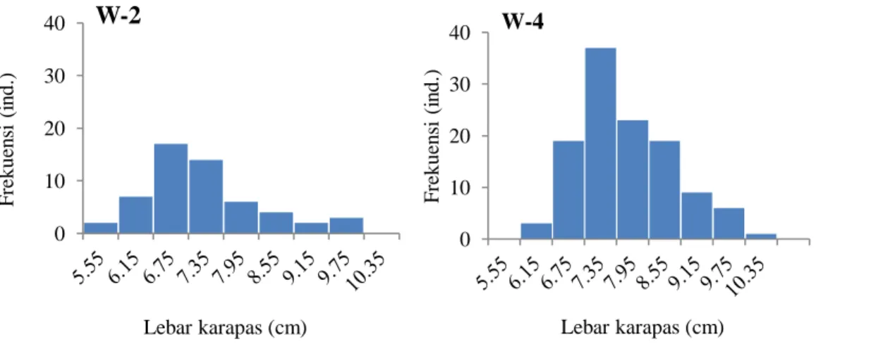 Gambar 5 Distribusi frekuensi lebar karapas rajungan di Wako pada stratifikasi 0-2 dan 2-4 mil perairan di  pesisir Kabupaten Lampung Timur, Provinsi Lampung 
