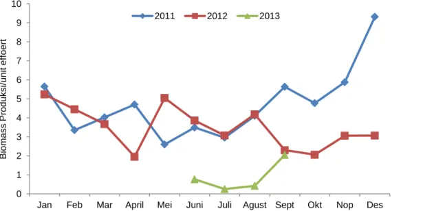 Gambar 4  Biomass hasil tangkapan per-unit upaya (unit effort) pada periode penelitian ini (Juni September 2013 dan pada  awal tahun 2011 hingga akhir tahun 2012