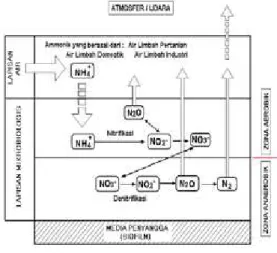 Gambar 1 : Ilustrasi dari mekanisme proses  penguraian amonia di dalam  biofilm