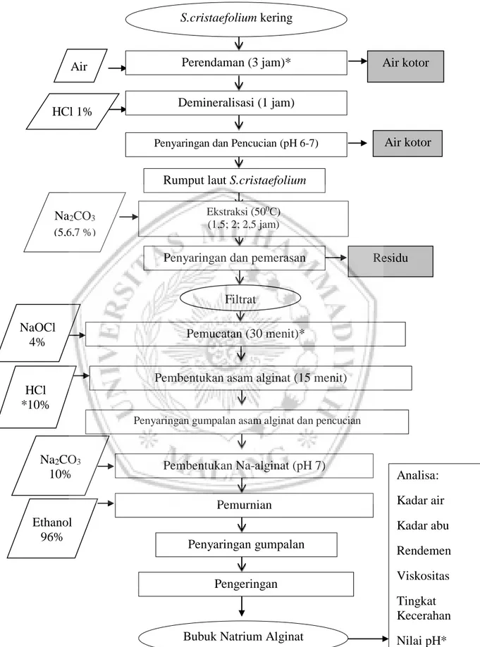 Gambar 1. Diagram Alir Proses Esktraksi Alginat dari Sargasuum cristaefolium  (Tambunan dkk, 2013 dengan Modifikasi*) 
