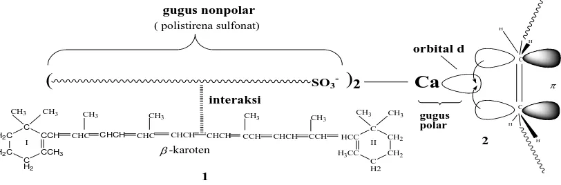 Gambar 1.1. interaksi antara �-karoten dengan kalsium polistirena sulfonat  