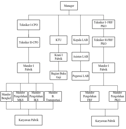 Gambar 2.1. Struktur Organisasi PT. SOCFINDO Kebun Tanah Gambus 