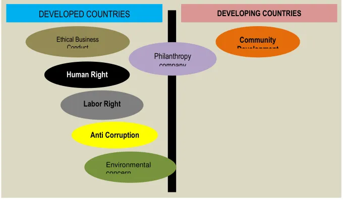 Figure 1. The difference in the role of CSR in Developed and Developing Countries 