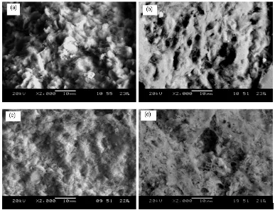 Fig. 4: SEM micrographs of artificial geopolymer aggregate at various sintering temperature (a) room              temperature; (b) 500 °C; (c) 600 °C; and (d) 800 °C