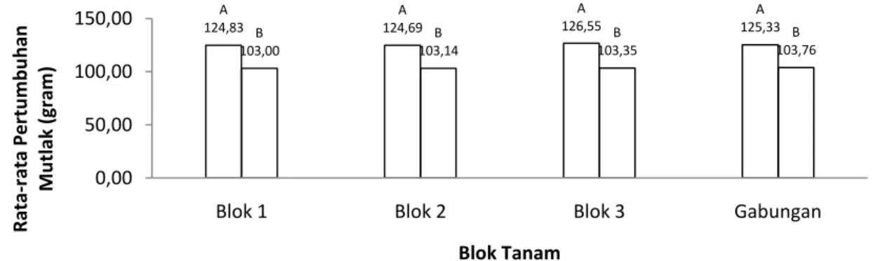 Gambar  1.    Histogram  Pertumbuhan  Bobot  Biomassa  Gracilaria  sp.  Jenis  Bibit  Hasil  Seleksi  (A)  dan  Kultur  Jaringan (B) pada Blok Tanam 1, 2, 3, dan Gabungan Ketiga Blok Tanam 