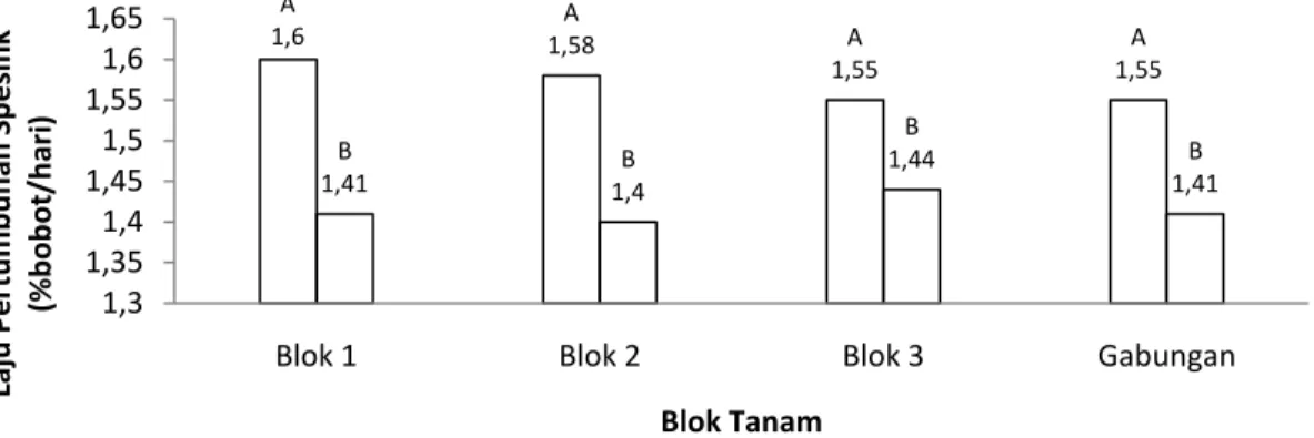 Gambar 2.   Histogram Laju Pertumbuhan Harian Gracilaria sp Jenis Bibit Hasil Seleksi  (A) dan Kultur Jaringan  (B) pada Blok Tanam 1, 2, 3, dan Gabungan Ketiga Blok Tanam 