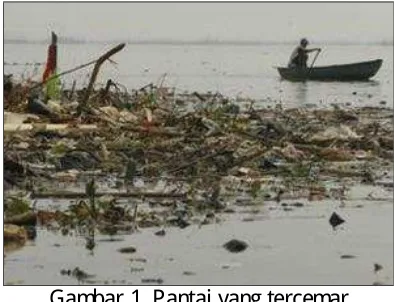 Gambar 1. Pantai yang tercemar 