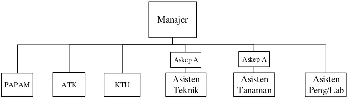 Gambar 2.1. Struktur Organisasi PTPN III Kebun Rambutan 