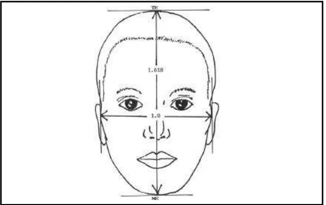 Gambar 6. Proporsi wajah eksternal (TH = Top of the Head, ME = Menton).28 