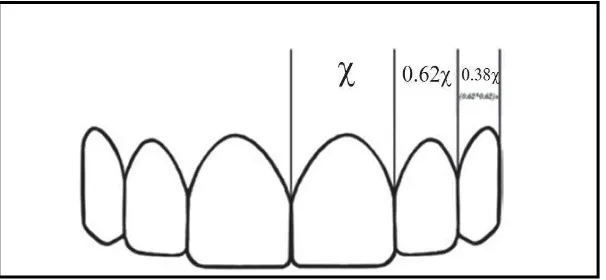 Gambar 9. Proporsi lebar gigi anterior rahang atas    dan empat gigi anterior rahang bawah.29 