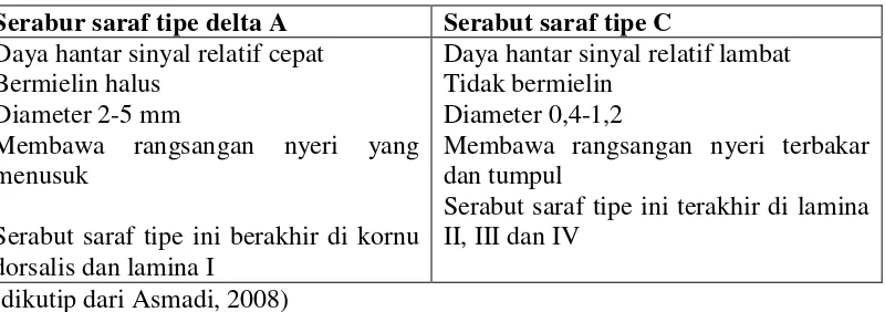 Tabel 2.1.2.2 Perbedaan Serabut Saraf nyeri tipe delta A dan C 