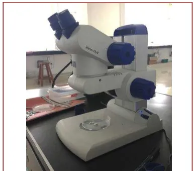 Gambar 10. Scanning Electron Microscope (SEM)  (JEOL, Japan)