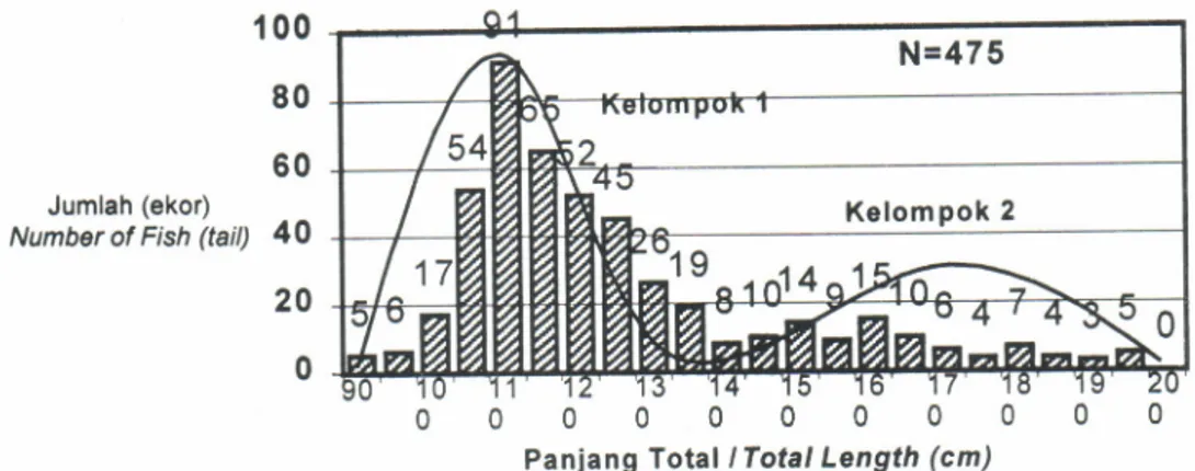 Gambar  3.  Histogram  sebaran  panjang total ikan payangka  (Ophiocara  porochepala)  di  perairan Danau Tondano