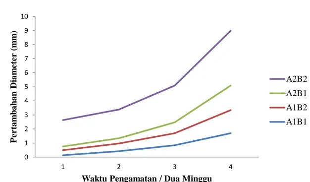 Gambar 3. Pengaruh Mikoriza dan Mulsa Terhadap Pertambahan Diameter Tanaman  Gaharu. The effect of mycorrhizal and mulch on the growth of the diameter  of agarwood 