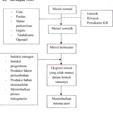 Gambar 2.3 Kerangka teori 