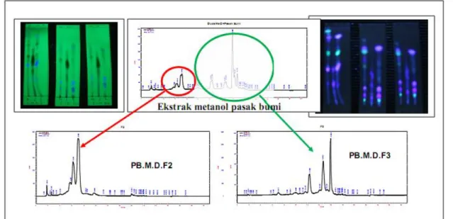 Gambar  2  menunjukkan  bahwa  pada  isolat  senyawa PB.M.D,F2,4 terdapat 1 puncak berdasarkan  UPLC-MS,  yaitu  puncak  pada  waktu  retensi  3,43  menit