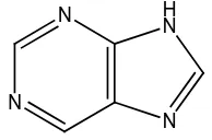 Gambar 2.31 Struktur alkaloida kafeina 