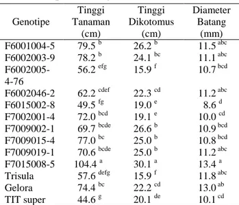 Tabel 1.   Nilai  Rataan  tinggi  tanaman,  tinggi  dikotomus  dan  diameter  batang  sepuluh galur harapan dan tiga varietas  pembanding  Genotipe  Tinggi  Tanaman   (cm)  Tinggi  Dikotomus  (cm)  Diameter Batang  (mm)  F6001004-5  79.5  b 26.2  b        