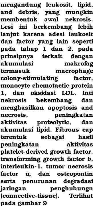 gambar 8.  Lesi ini berkembang lebih 