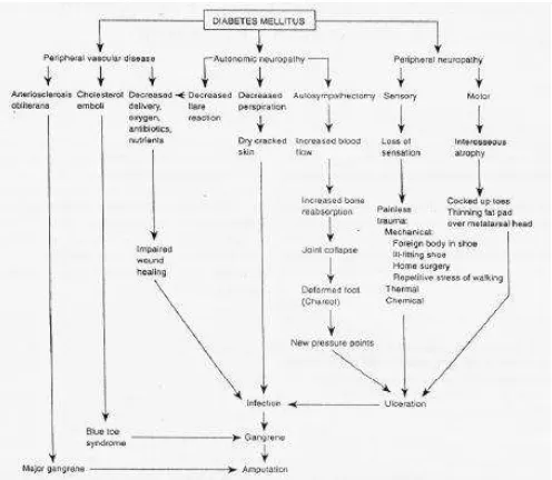 Gambar 2.1.  Patogenesis terjadinya ulkus diabetikum Dikutip sesuai aslinya dari kepustakaan nomor 38  