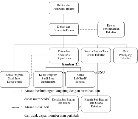 Gambar 2.1 Struktur Organisasi Fakultas Ekonomi USUKetua Program  Ketua 