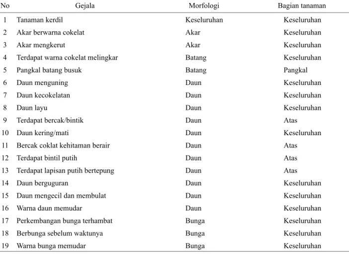 Tabel 6.  Gejala infeksi penyakit pada tanaman krisan