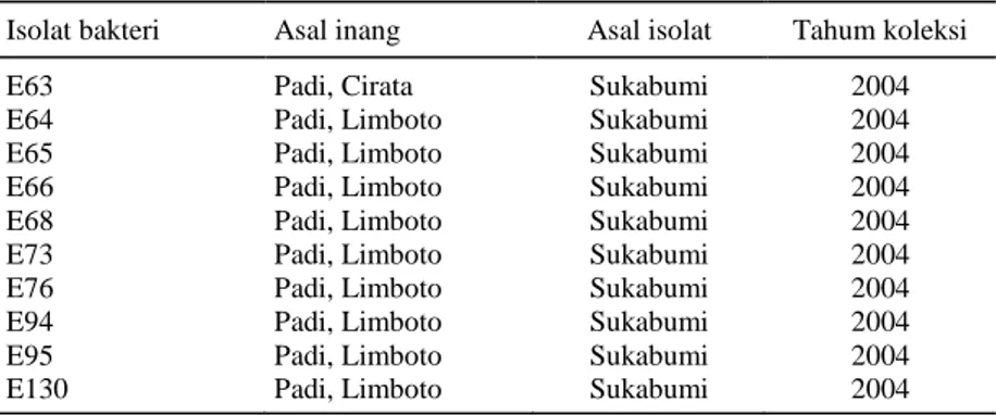 Tabel 1.  Sumber isolat bakteri endofitik koleksi Biogen CC yang digunakan.   Isolat bakteri  Asal inang  Asal isolat  Tahum koleksi 
