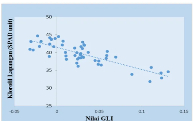 Gambar 4.Kurva hasil regresi linear dari NGRDI  dengan Klorofil Lapangan (SPAD) 