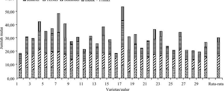 Gambar 1. Sebaran jumlah malai anakan padi primer, sekunder, tersier, dan kuarter dari 30 varietas/galur