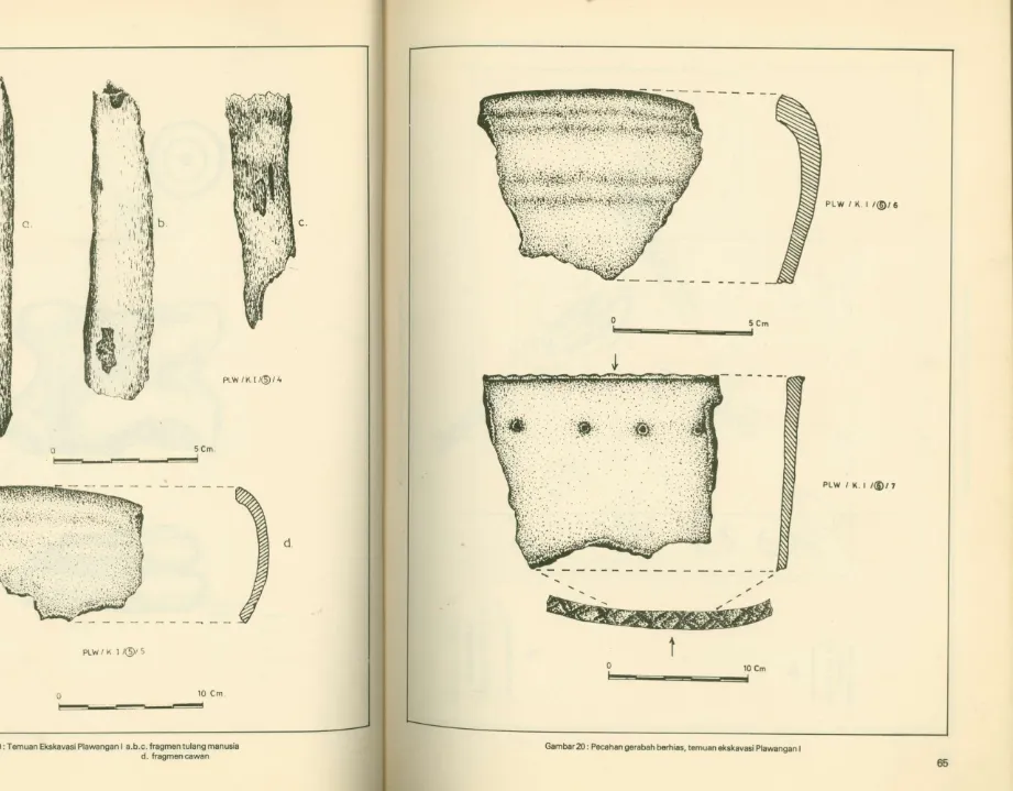 Gambar 19: Temuan Ekskavasi Plawangan I a.b.c. fragmen tulang manusia 