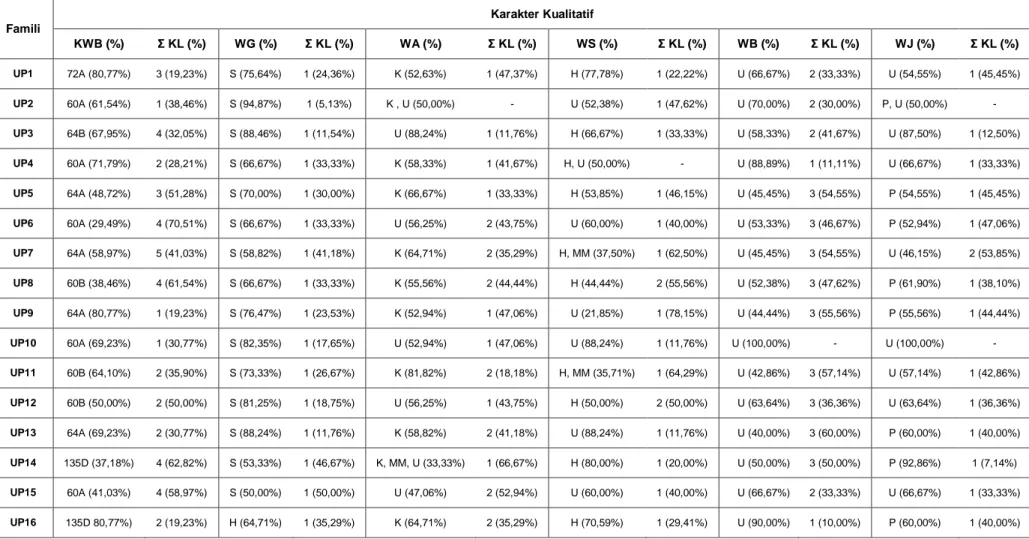 Tabel 2 Karakter Kualitatif Genotip Jagung Ungu Pekat (UP)   Famili  Karakter Kualitatif   KWB (%)  Ʃ KL (%)  WG (%)  Ʃ KL (%)  WA (%)  Ʃ KL (%)  WS (%)  Ʃ KL (%)  WB (%)  Ʃ KL (%)  WJ (%)  Ʃ KL (%)  UP1  72A (80,77%)  3 (19,23%)  S (75,64%)  1 (24,36%)  K