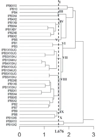 Gambar 1. Dendrogram pepaya berdasarkan karakter generatif Gambar 2. Dendrogram pepaya berdasarkan karakter vegetatif dan  generatif