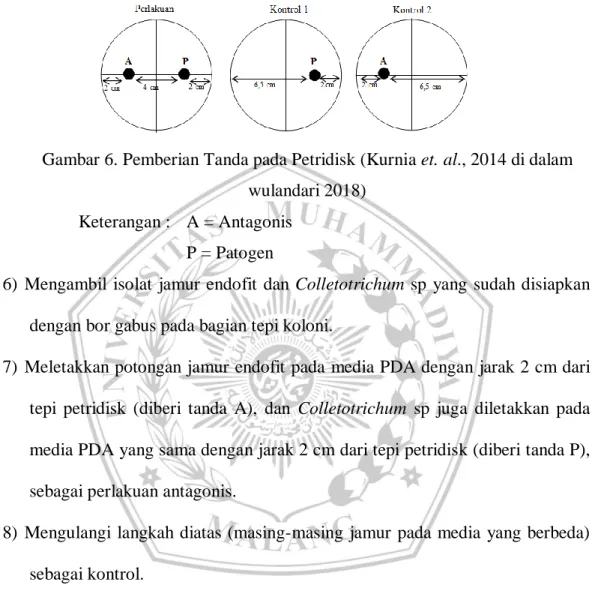 Gambar 6. Pemberian Tanda pada Petridisk (Kurnia et. al., 2014 di dalam  wulandari 2018) 