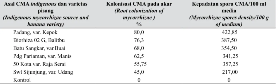 Tabel 2.   Kolonisasi akar dan kepadatan spora CMA dalam 100 ml media perakaran pisang   Ambon Hijau 16 minggu setelah inokulasi (Root colonization and density of  mycor-rhizae spores in 100 ml of medium of banana roots cv