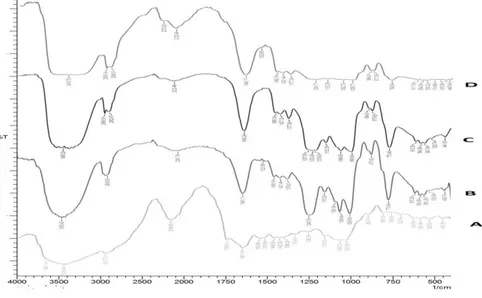Gambar II.3. Spektra FTIR dari tepung porang tanpa perlakuan  metilasi (A), tepung porang termetilasi dengan dimetil sulfat 10  mL (B), tepung porang termetilasi dengan dimetil sulfat 20 mL  (C), dan tepung porang termetilasi dengan dimetil sulfat 35 mL 