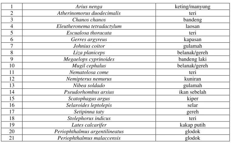Table 8: An inventory of the types of marine fish in the waters of Sidoarjo 