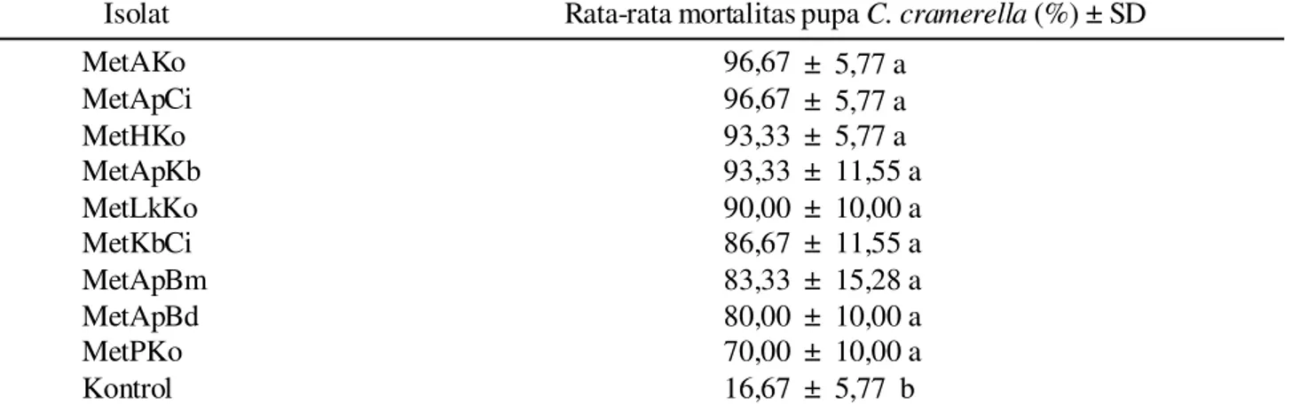 Tabel 2. Mortalitas pupa C. cramerella setelah 8 hari aplikasi Metarhizium spp. dengan konsentrasi 107 konidia/ ml