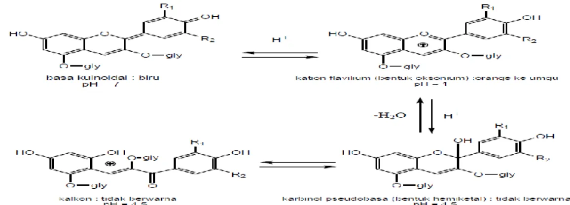 Gambar 12. Struktur Antosianin pada Kondisi pH yang Berbeda 110                                                            