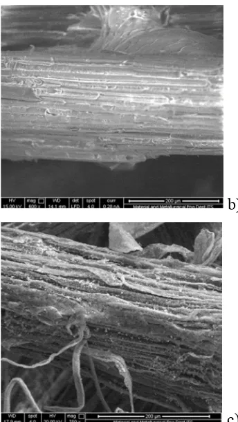Fig. 4a shows the FTIR spectra from untreated and 4-hour treated fibers.  