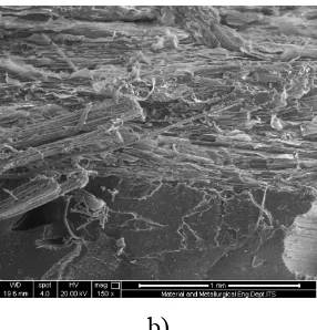 Fig. 4b shows surface of untreated fiber. Fig. 4c shows morphological changes as a consequence of lignin and hemicellulose removal from the surface