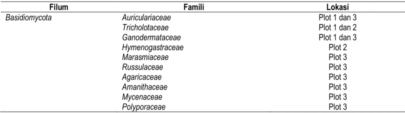 Tabel 1. Daftar Jenis-Jenis Jamur Pada Kawasan Wisata Sumber Ubalan 