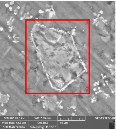 Gambar 11 Hasil SEM beton dengan tambahan mikrobakteri 