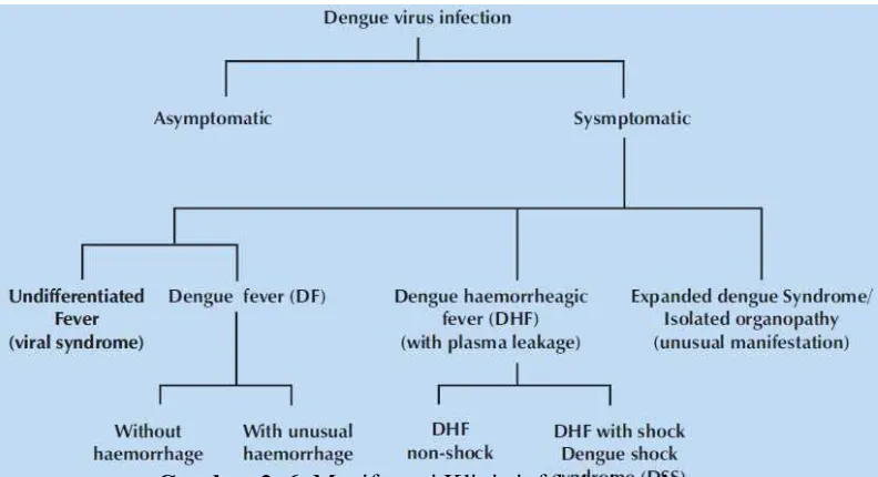 Tabel 2.2. Fase Demam, Kritis dan Penyembuhan pada Dengue (WHO, 2009). 