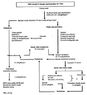 Gambar 2.9. Tatalaksana kasus DBD derajat II dengan peningkatan  