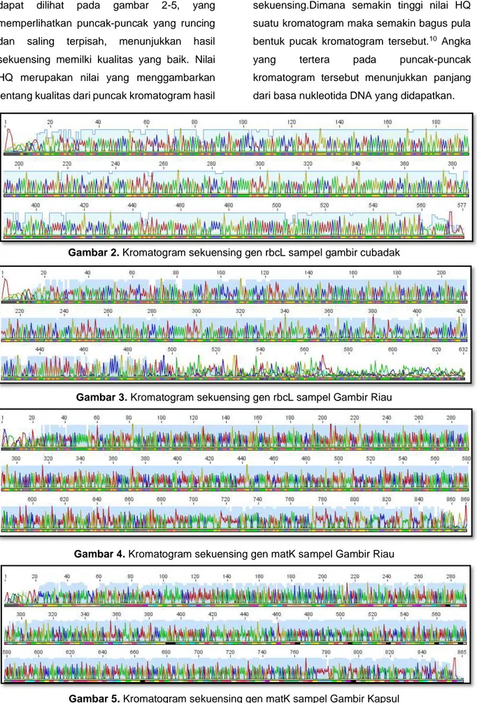 Gambar 2. Kromatogram sekuensing gen rbcL sampel gambir cubadak 