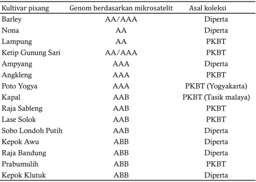 Tabel 2.   Penentuan genom kultivar pisang berdasarkan fragmen pemotongan daerah ITS DNA  ribosom menggunakan enzim RsaI