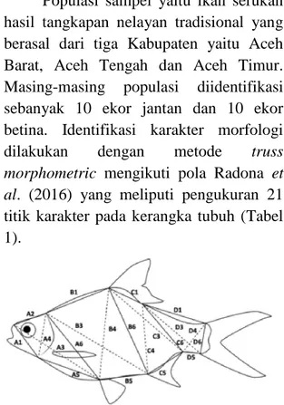 Gambar 1. Pola truss morphometric pada ikan  tengadak (Radona et al. 2016) 